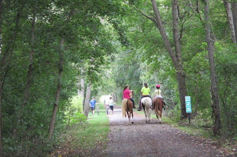 Mike Levine Lakelands Trail State Park