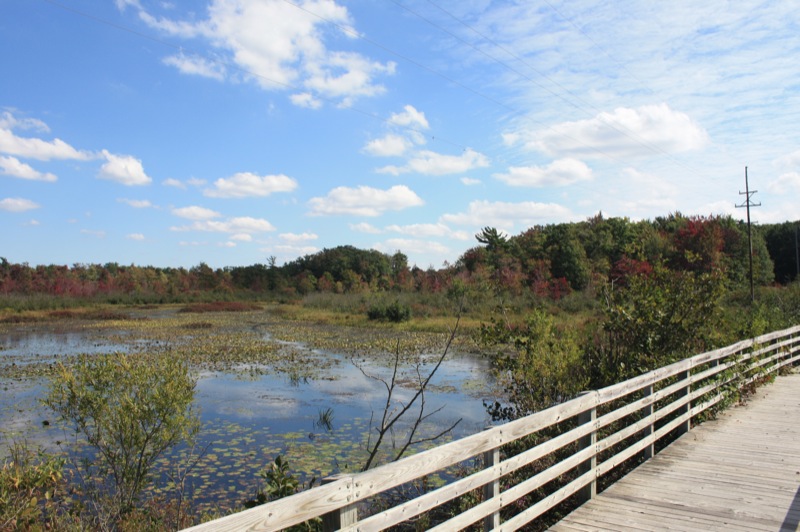 Lakeshore Trail